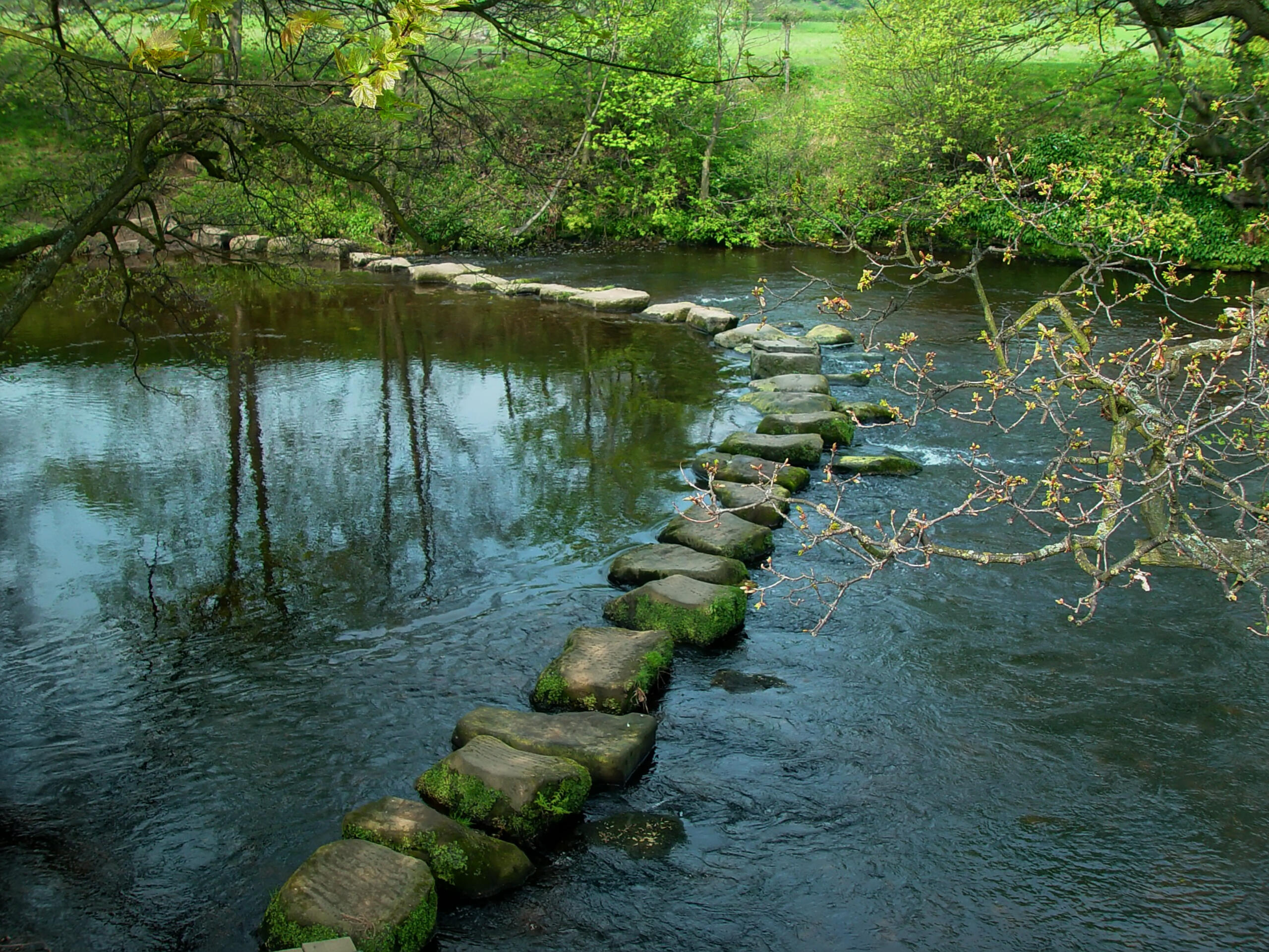Smooth stones across a calm stream.